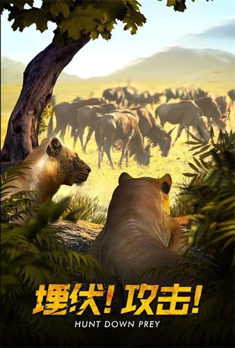 Beast Lord游戏官方版