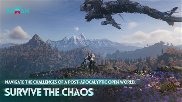 七日世界国际服