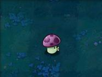 植物大战僵尸北美XI版10