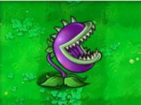 植物大战僵尸北美XI版8