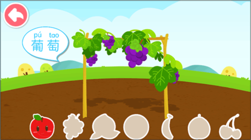 宝宝爱水果蔬菜2