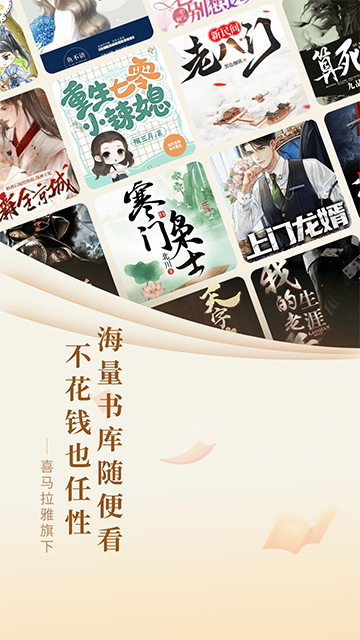 奇迹小说(文学)