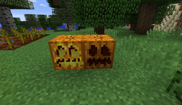 我的世界国际版游戏攻略6