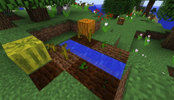 我的世界国际版游戏攻略3