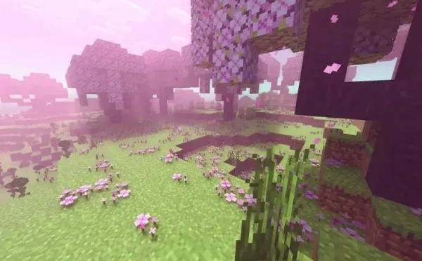 樱花林怎么找配图1