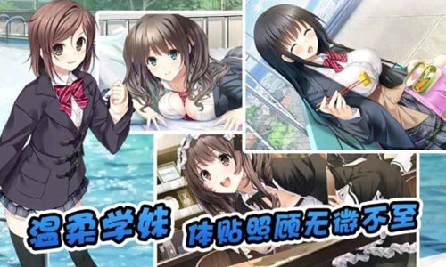 泡妞达人2游戏免费版