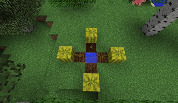 我的世界国际版游戏攻略4