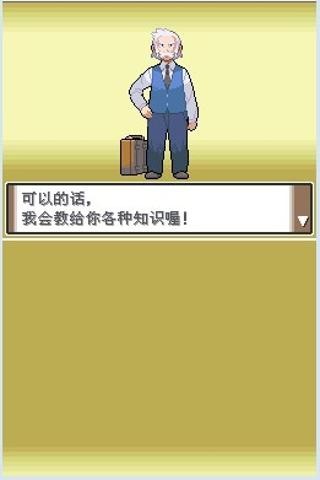 口袋妖怪白金中文版游戏