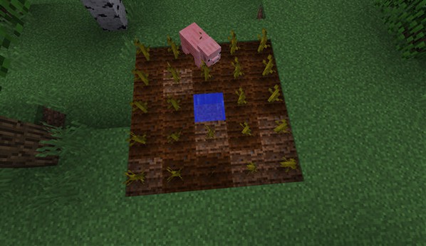 我的世界国际版游戏攻略5