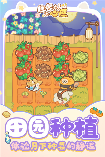 住客大人的心愿官方正版