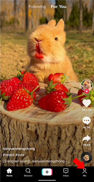 怎么设置中文配图1