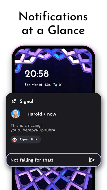 Niagara桌面启动器付费版
