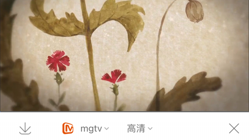 怎么缓存电视连续剧配图1