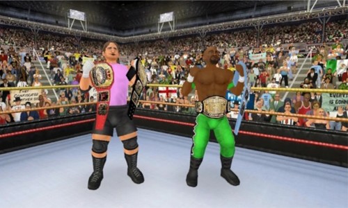 摔跤帝国3D汉化版