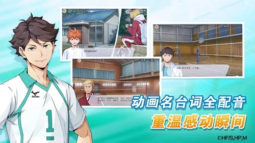 排球少年新的征程中国版