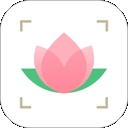 识花APP免费官方版