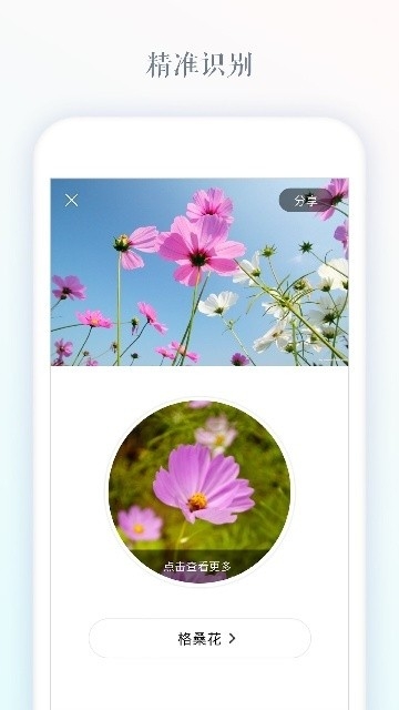识花APP免费官方版