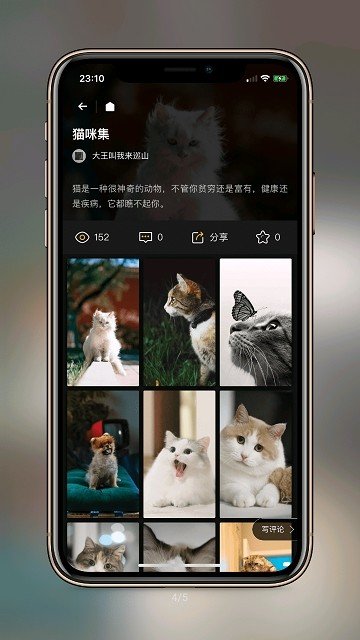纸塘壁纸2025