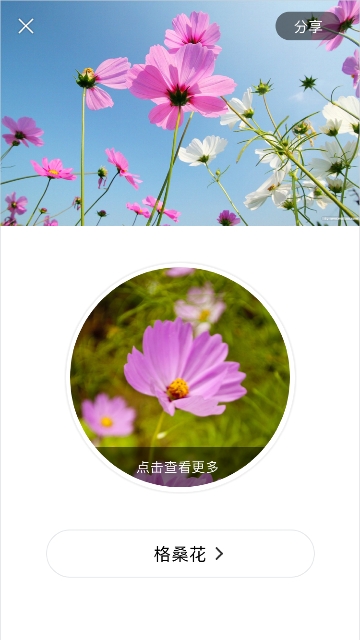 识花APP免费官方版