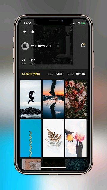 纸塘壁纸2025