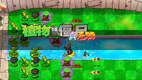 PVZ真无双版(图1) PVZ真无双版(图1)