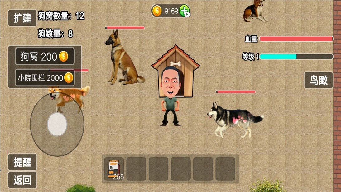 玩狗园区