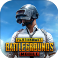 地铁逃生PUBG国际服官网最新版