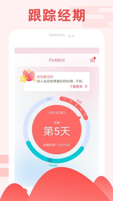 PinkBird(图1)