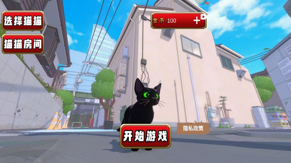 猫猫游乐园