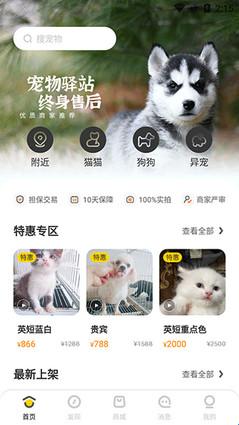 买只宠物(图1) 买只宠物(图1)