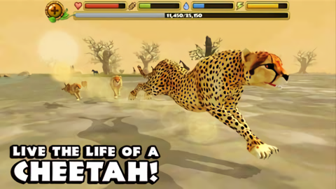 猎豹模拟器(CheetahSim)