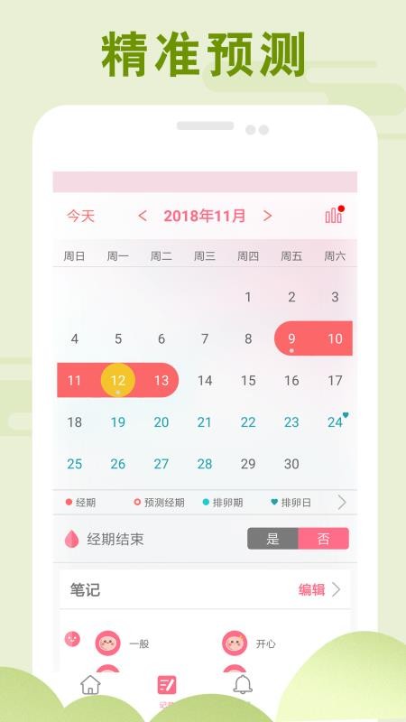 PinkBird(图3)