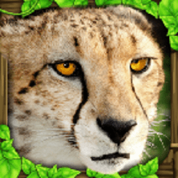 猎豹模拟器(CheetahSim)