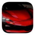 开放世界极限赛车(OpenWorldProMaxCarRacing)