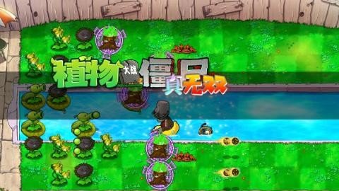 植物大战僵尸真无双版新版本