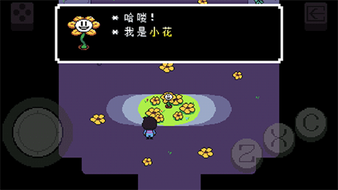 传说之下重制版官方正版(图6) 传说之下重制版官方正版(图6)