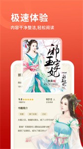 石头小说阅读器
