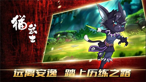 猫武士