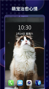 壁纸酱