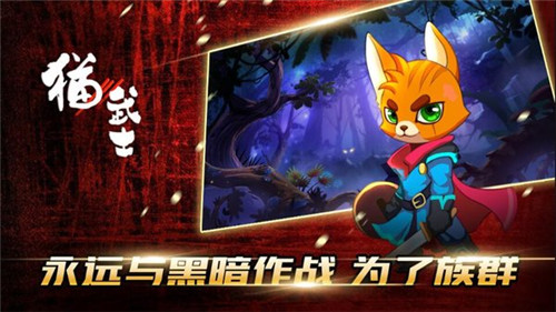 猫武士