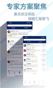 球进了