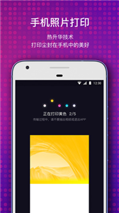 极印(图1)