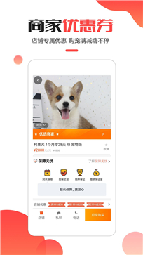 宠小宝(图1) 宠小宝(图1)