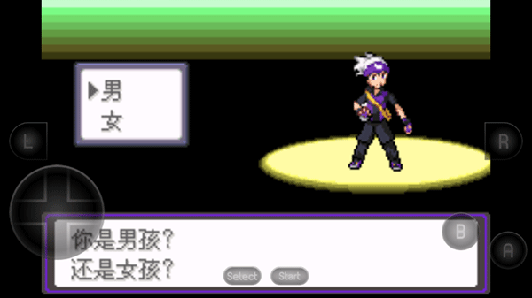 口袋妖怪漆黑的魅影5.0ex+bw自带修改器