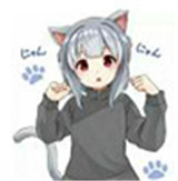 冷狐宝盒