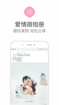 婚礼猫(图1) 婚礼猫(图1)