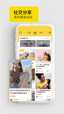 犬易(图1) 犬易(图1)