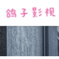 鸽子影视