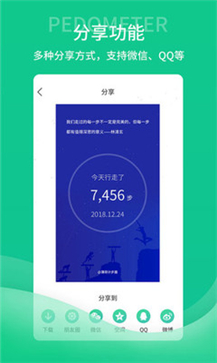 薄荷计步器(图1) 薄荷计步器(图1)