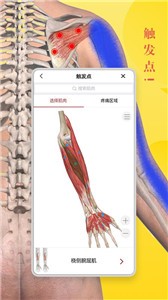 3Dbody解剖